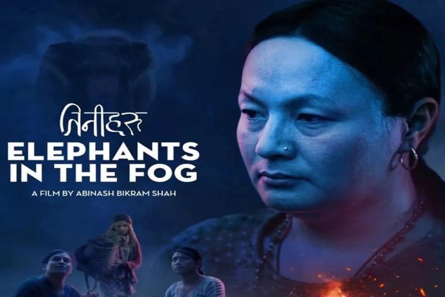 Elephants in the Fog: A Decent Film That Left Me Thinking